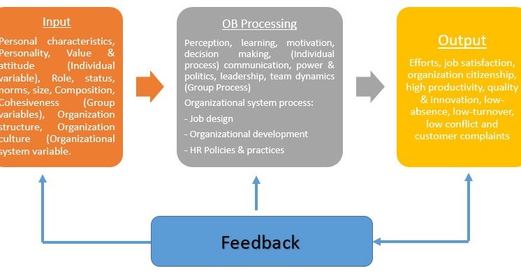 Organizational Behavior and Leadership